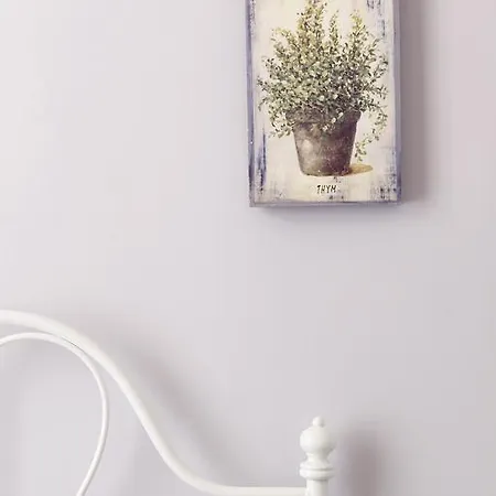 Bed & Breakfast Dd Luxury House